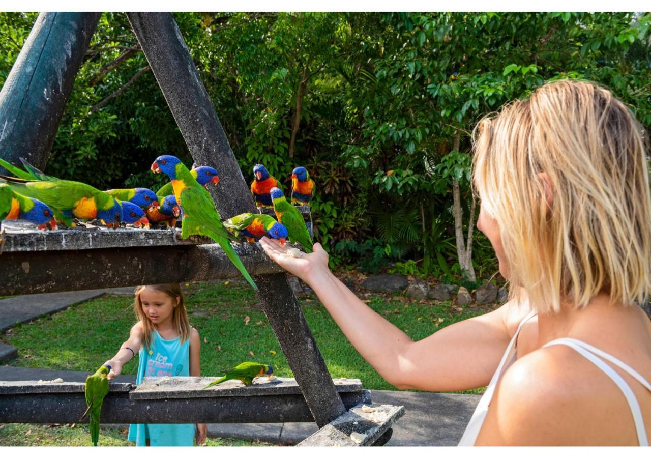 Discovery Parks - Airlie Beach Exterior photo